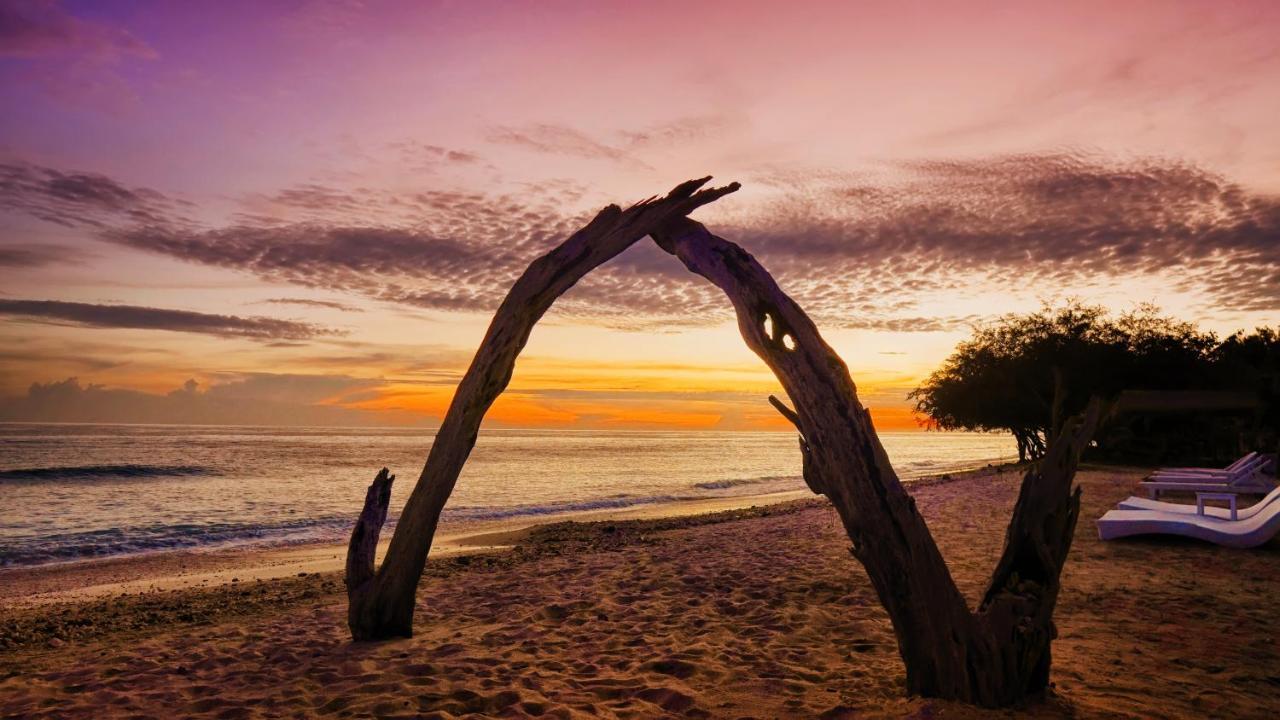 Gili Eco Villas Джили Трауанган Екстериор снимка